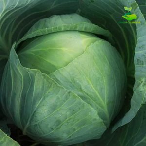 FA-050-34 Шёлковое платье с бантом “D&G” ЛЕОПАРД одежда для кукол 29 см типа Барби